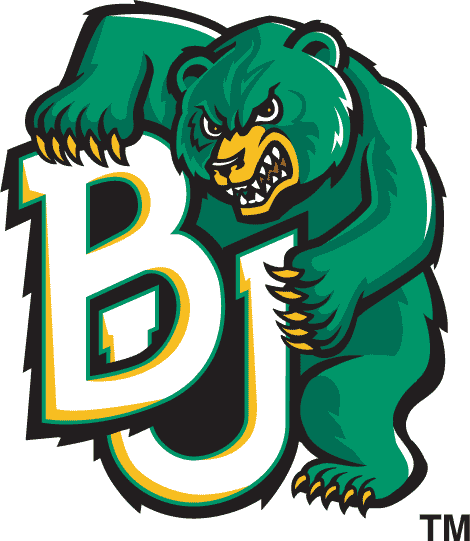 Baylor Bears 1997-2004 Alternate Logo iron on transfers for fabric